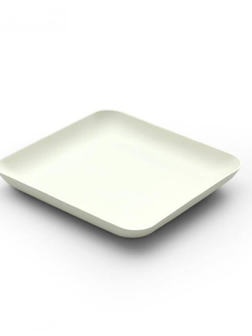 wegwerpbord-12-cm-vierkant-bagastro