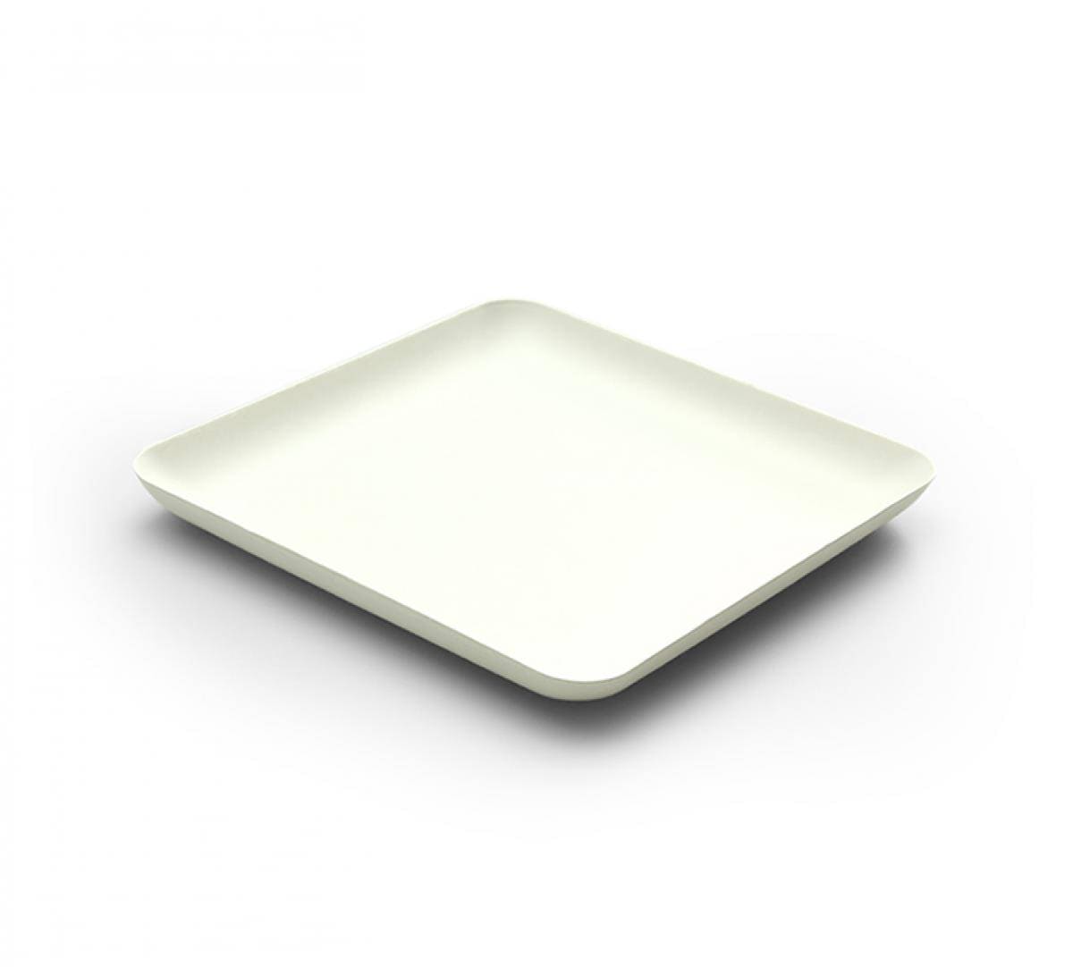wegwerpbord-16-cm-vierkant-bagastro