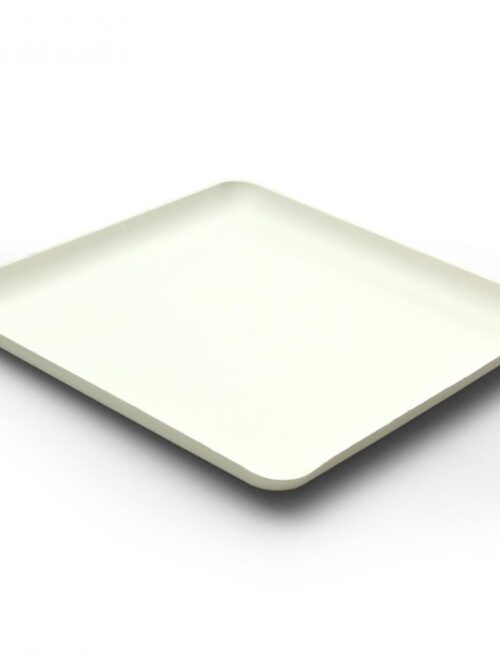 wegwerpbord-20-cm-vierkant-bagastro