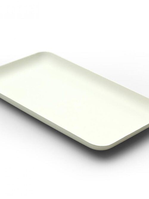 wegwerpbord-20x12-cm-rechthoekig-bagastro