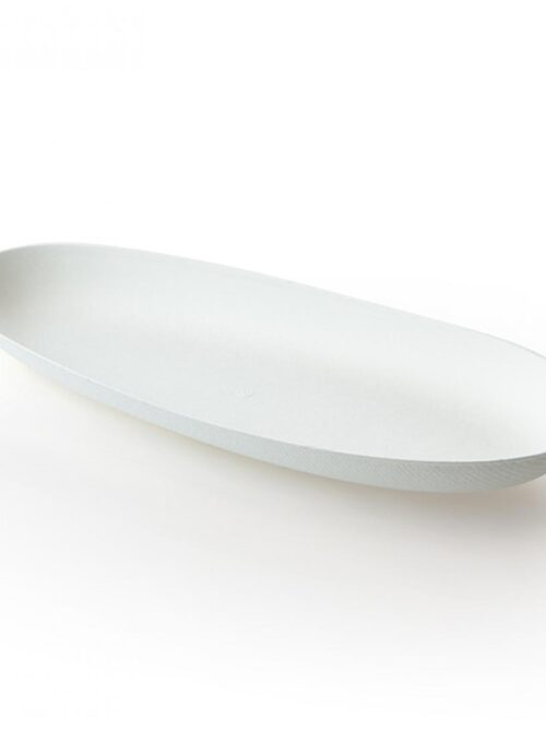 wegwerpschaal-organisch-groot-bagastro