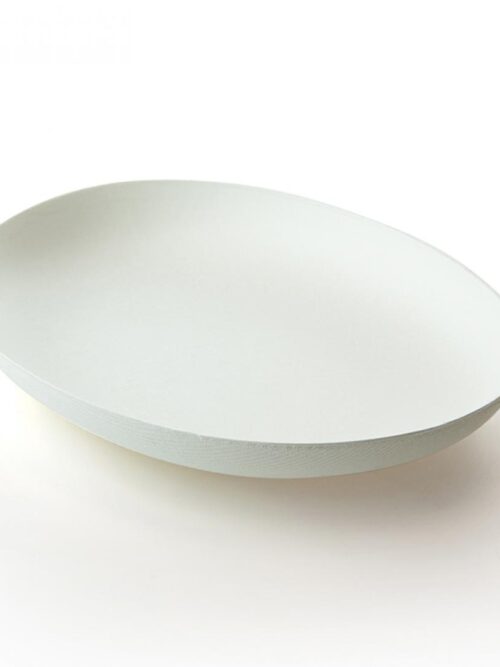 wegwerpbord-organisch-groot-model-bagastro